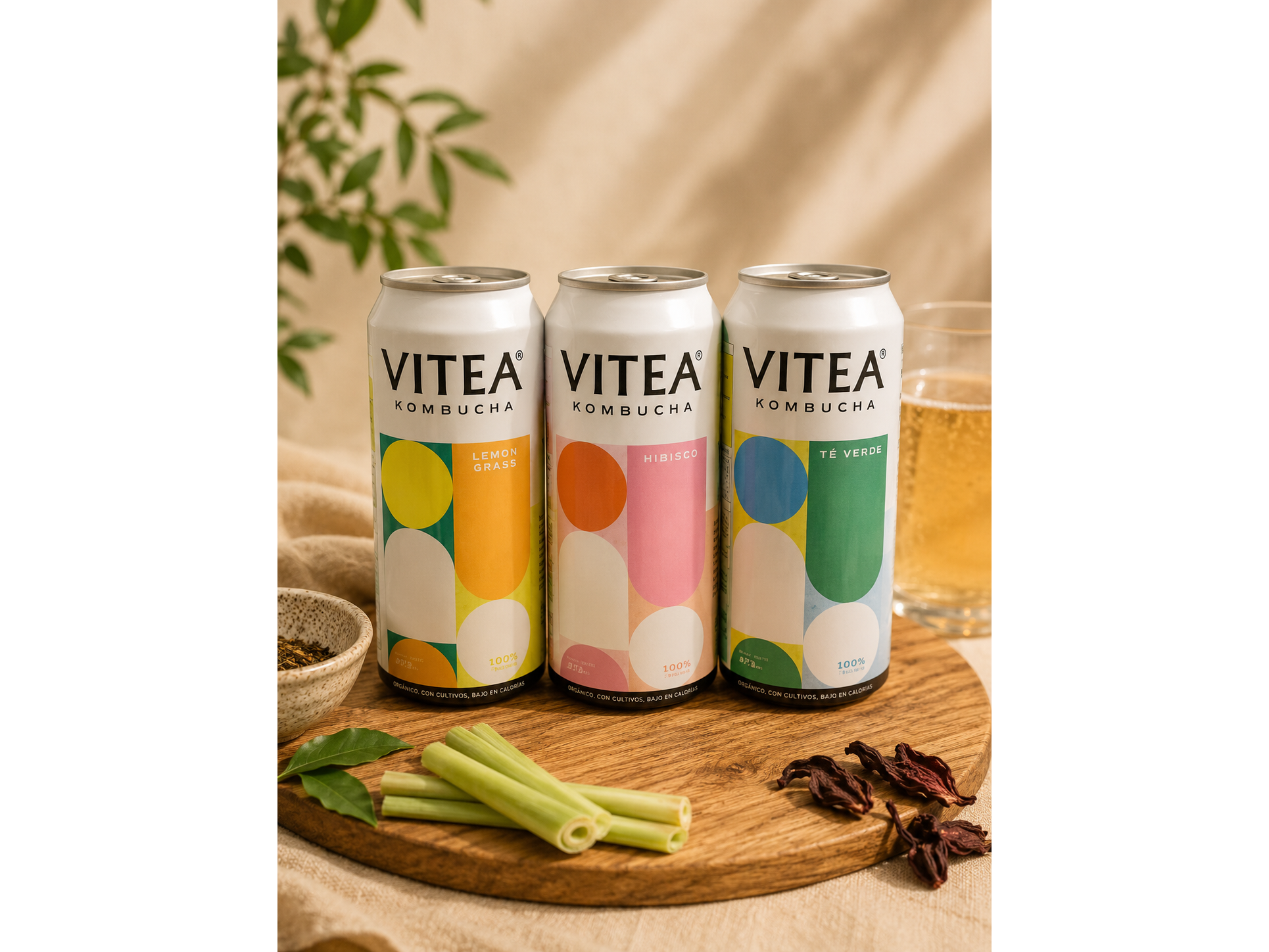 KOMBUCHA VITAE