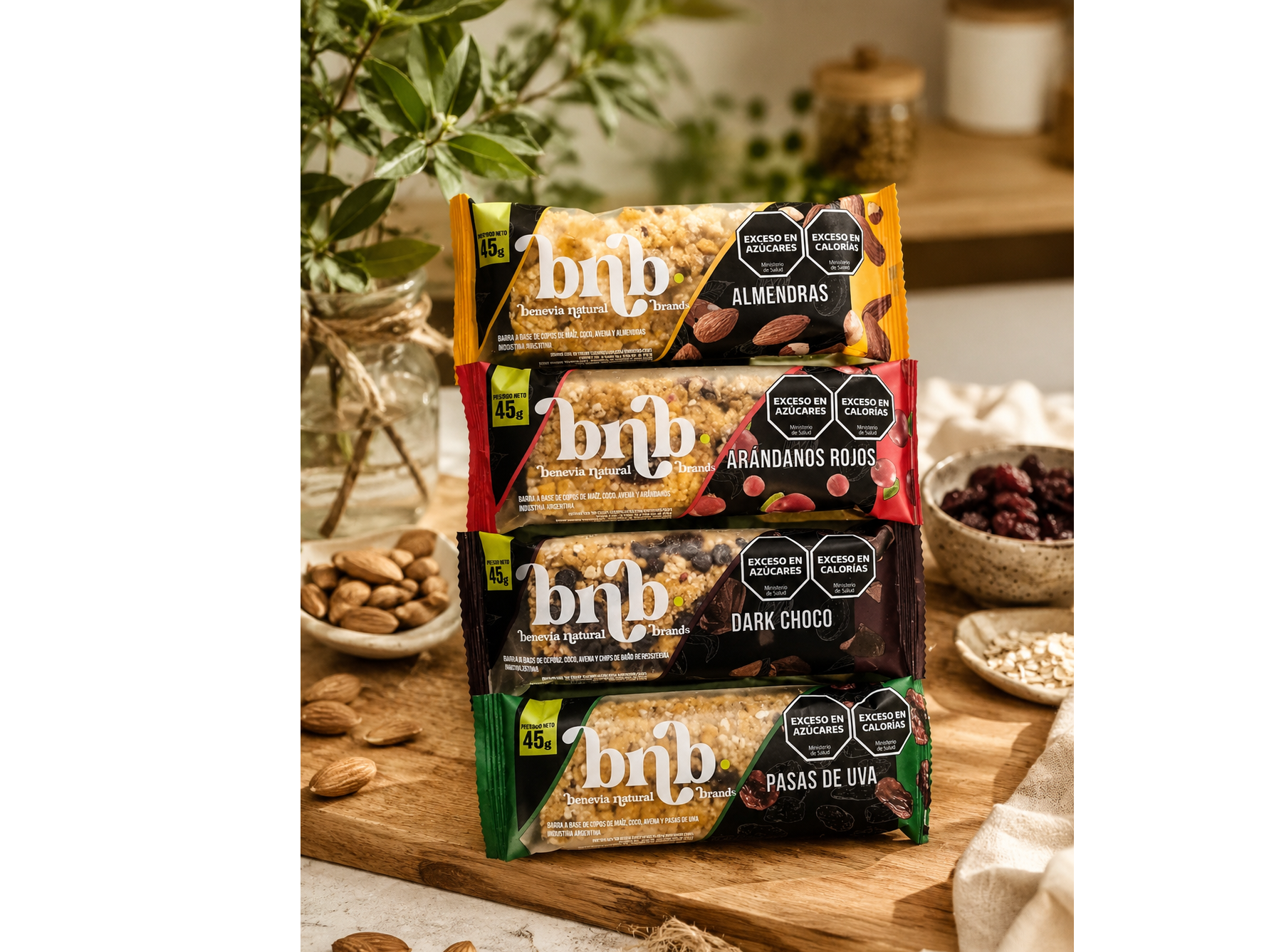 Barritas  "bnb"