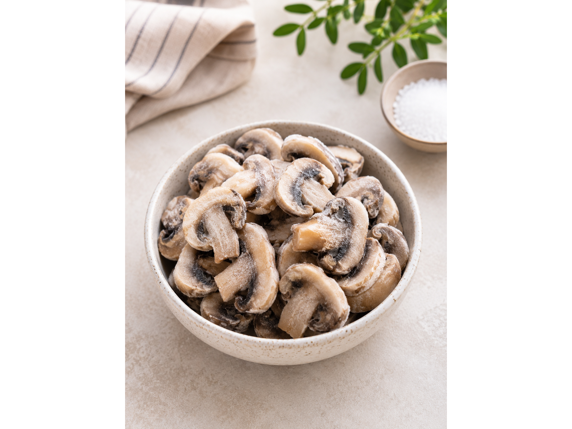 CHAMPIÑONES