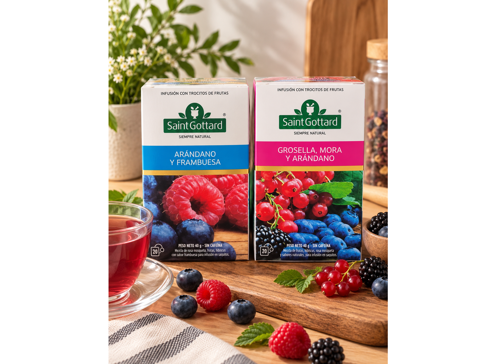 Infusiones SAINT GOTTARD