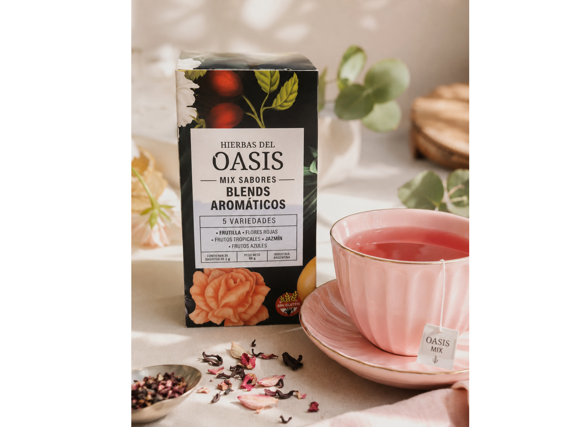 MIX DE SABORES OASIS