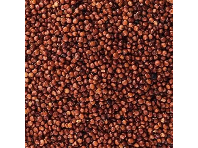 Quinoa roja
