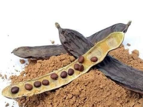 Harina de Algarroba negra