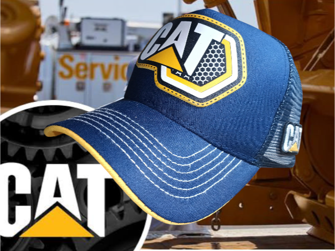 Cat 01
