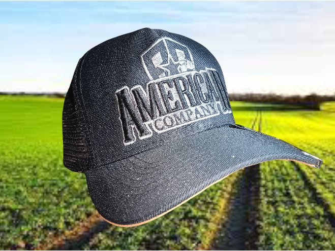American Company 02