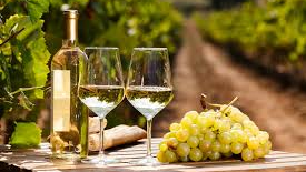 NUESTRA BODEGA BLANCOS