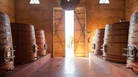 NUSTRA BODEGA TINTOS (BOUTIQUE)