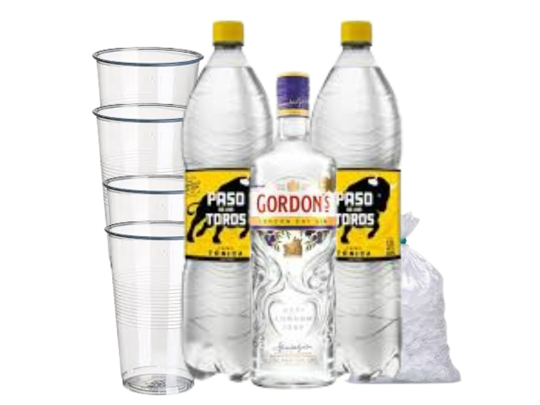 GIN GORDONS + 2 PASO DE LOS TOROS TONICA