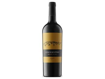 RUTINI ENCUENTRO MALBEC