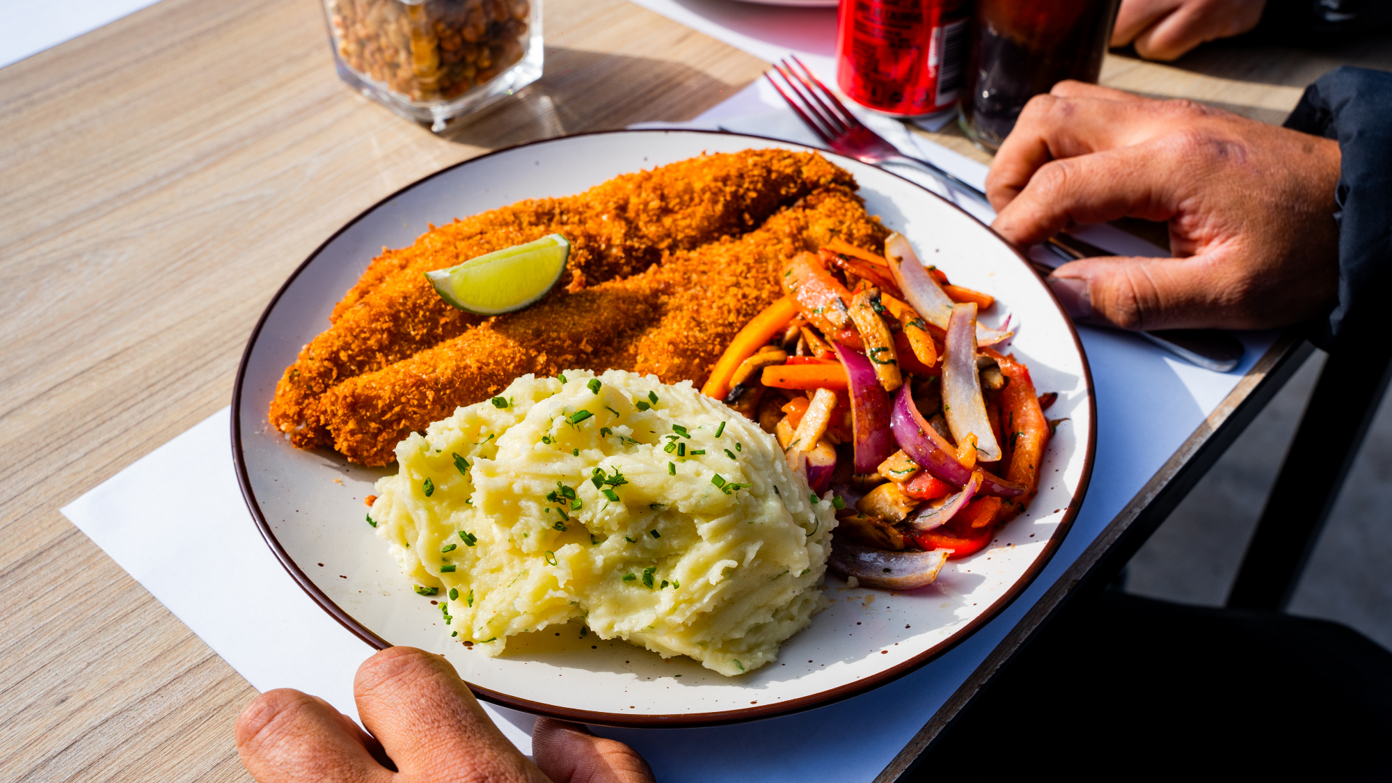 Platos de Almuerzo