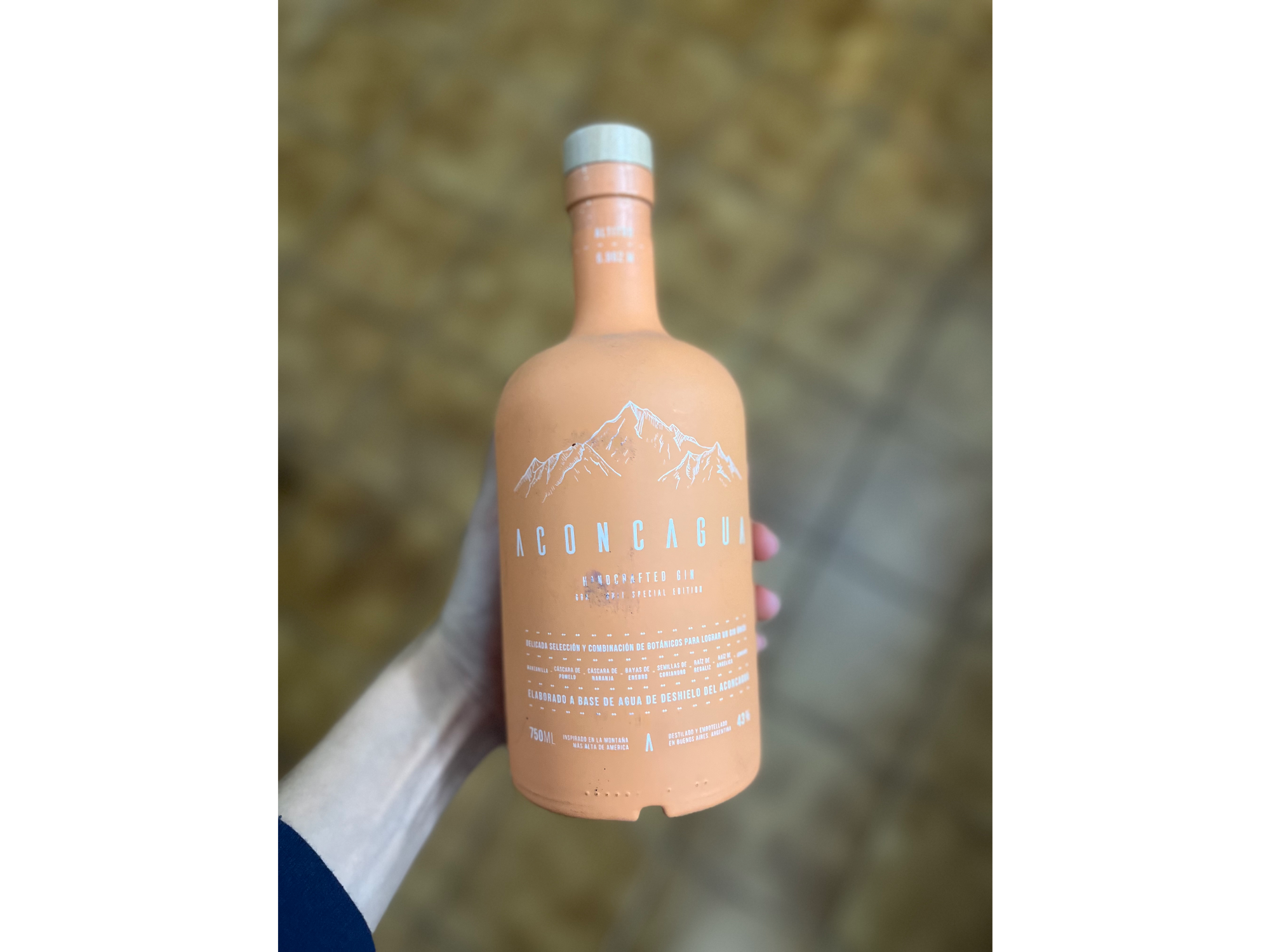 Gin Aconcagua
