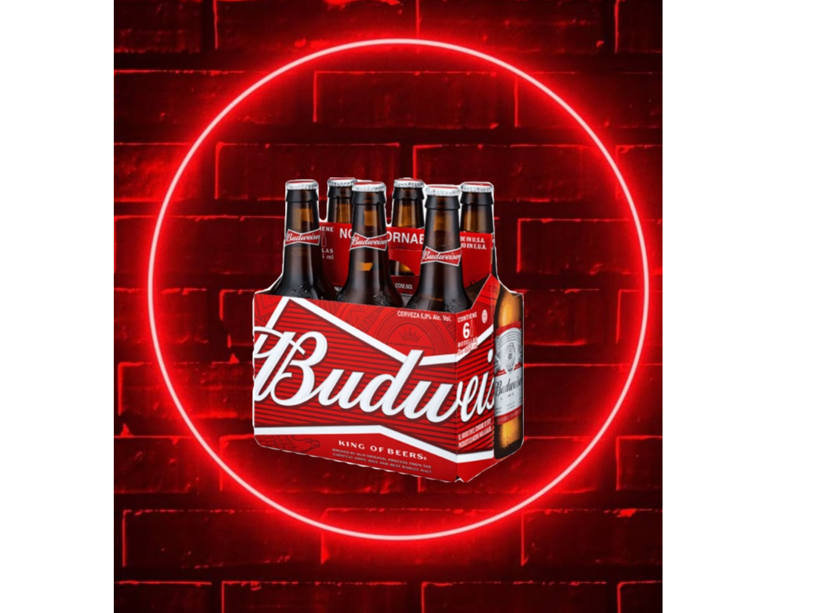 Botella budweiser x6