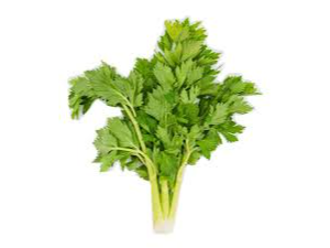 Cilantro (precio por paquete)