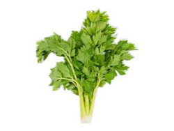 Cilantro (precio por paquete)