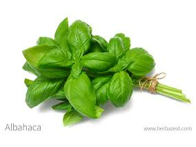 Albahaca (precio por paquete)