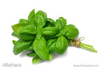 Albahaca (precio por paquete)
