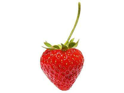 Frutilla