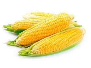 Choclo (precio por unidad)