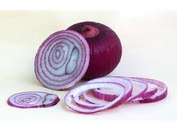 Cebolla morada
