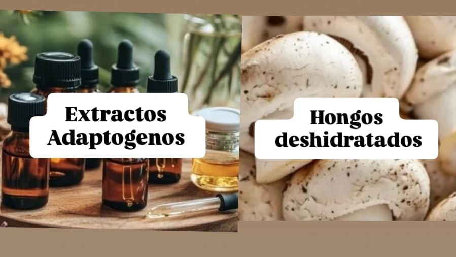 HONGOS DESHIDRATADOS-EXTRACTOS ADAPTOGENOS
