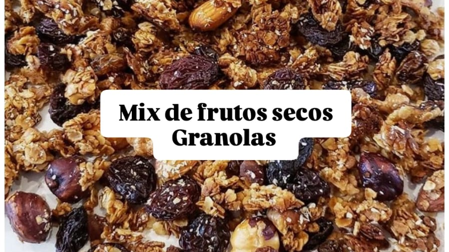 MIX DE FRUTOS SECOS-GRANOLAS