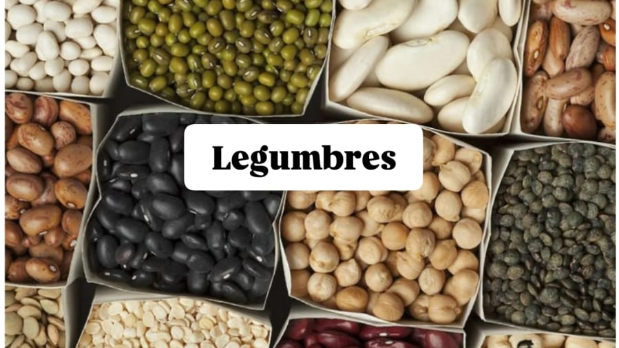 LEGUMBRES