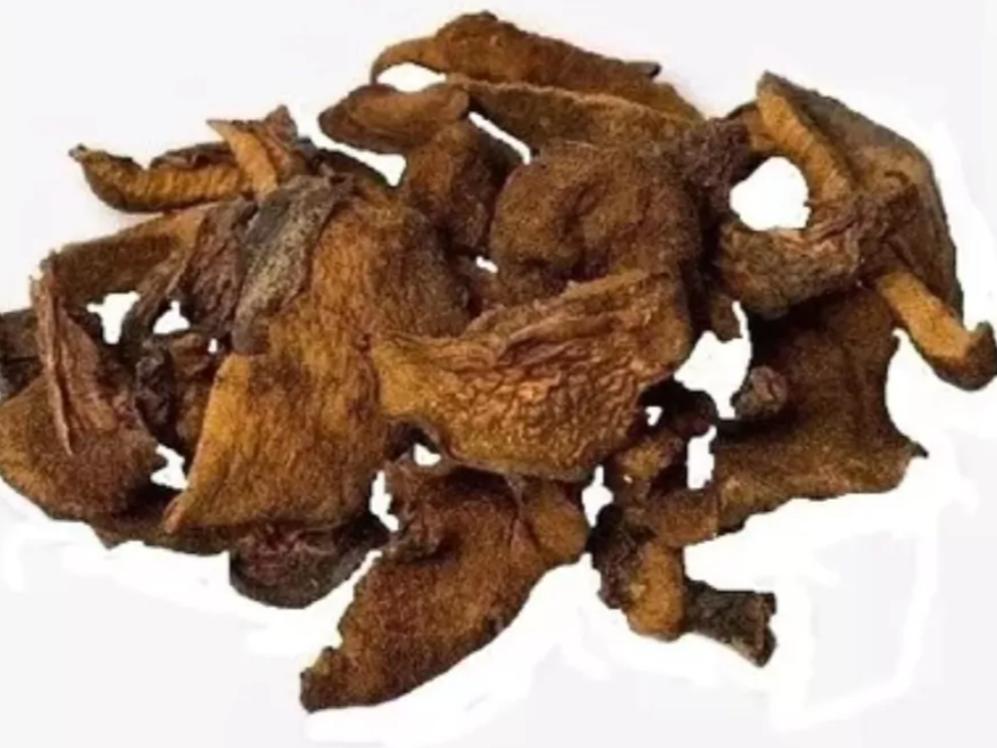 Hongos de Pino Balletus