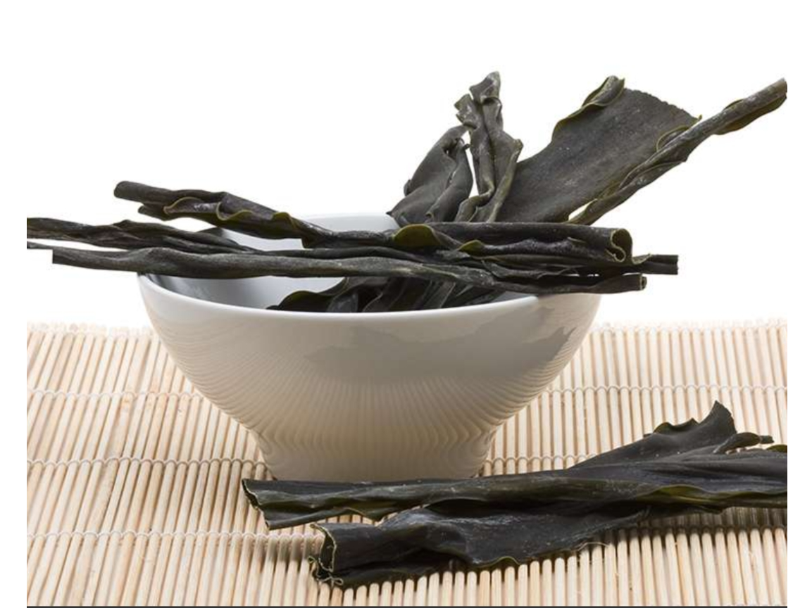 Algas Kombu