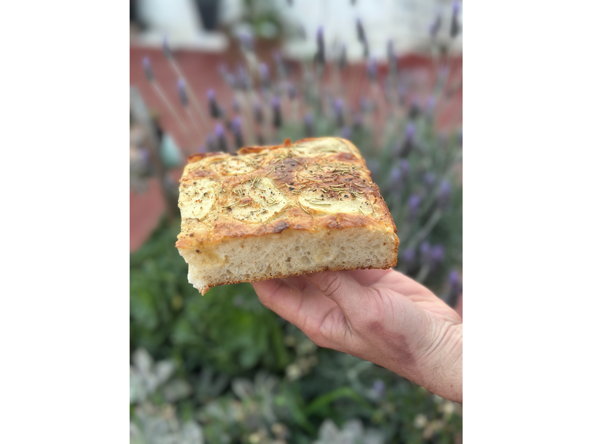 focacia de papa y romero de massimiliano pan