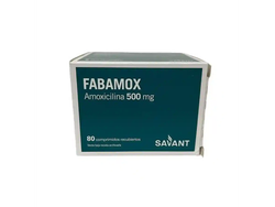 AMOXICILINA 500MG 80 UNID