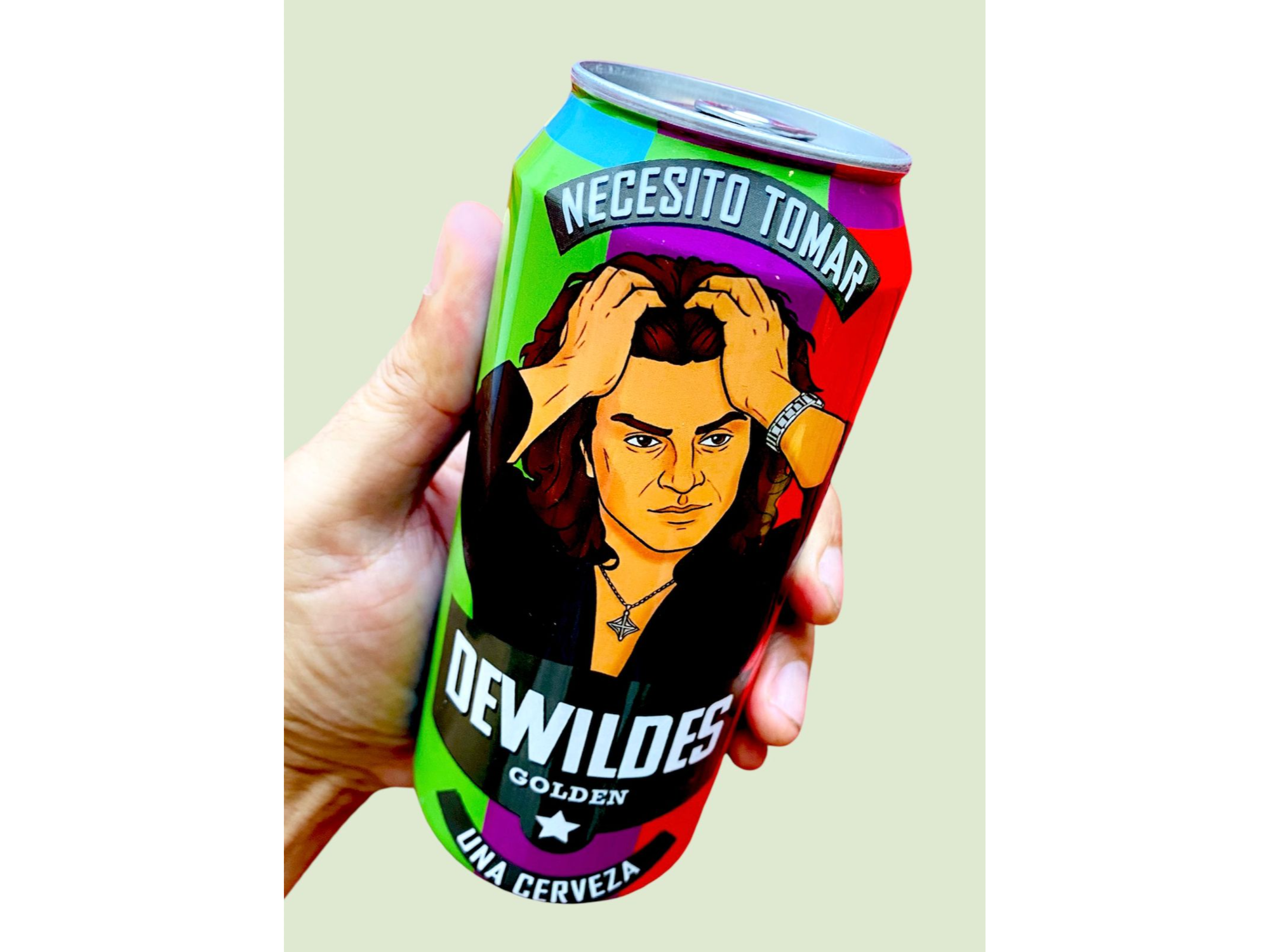 CERVEZA DEWILDES LAPORT