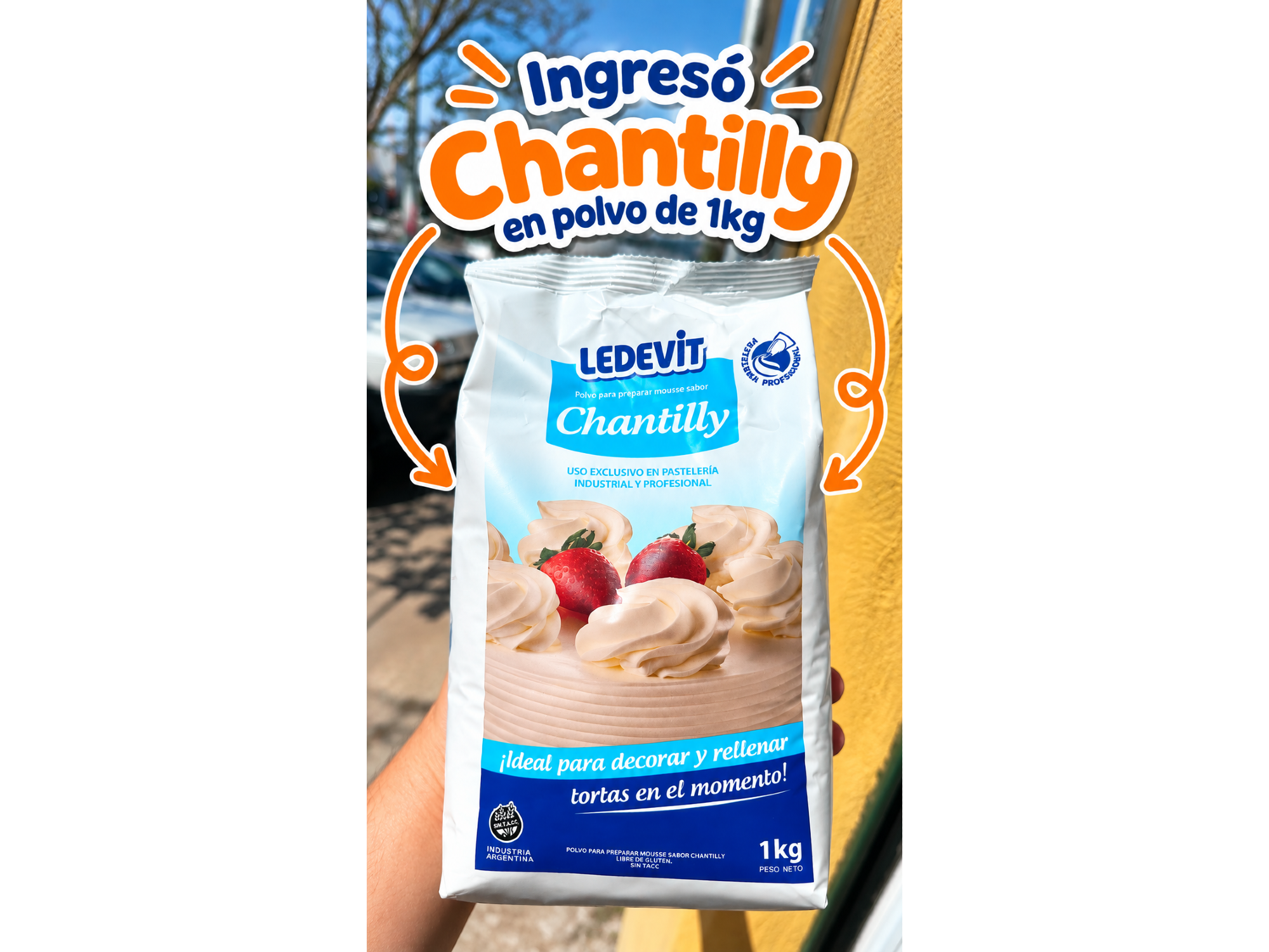 Chantilly en polvo ledevit 1kg/250gr