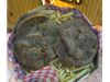 Milanesa al plato simple