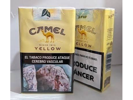 Camel 20 comun