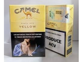 Camel 20 box