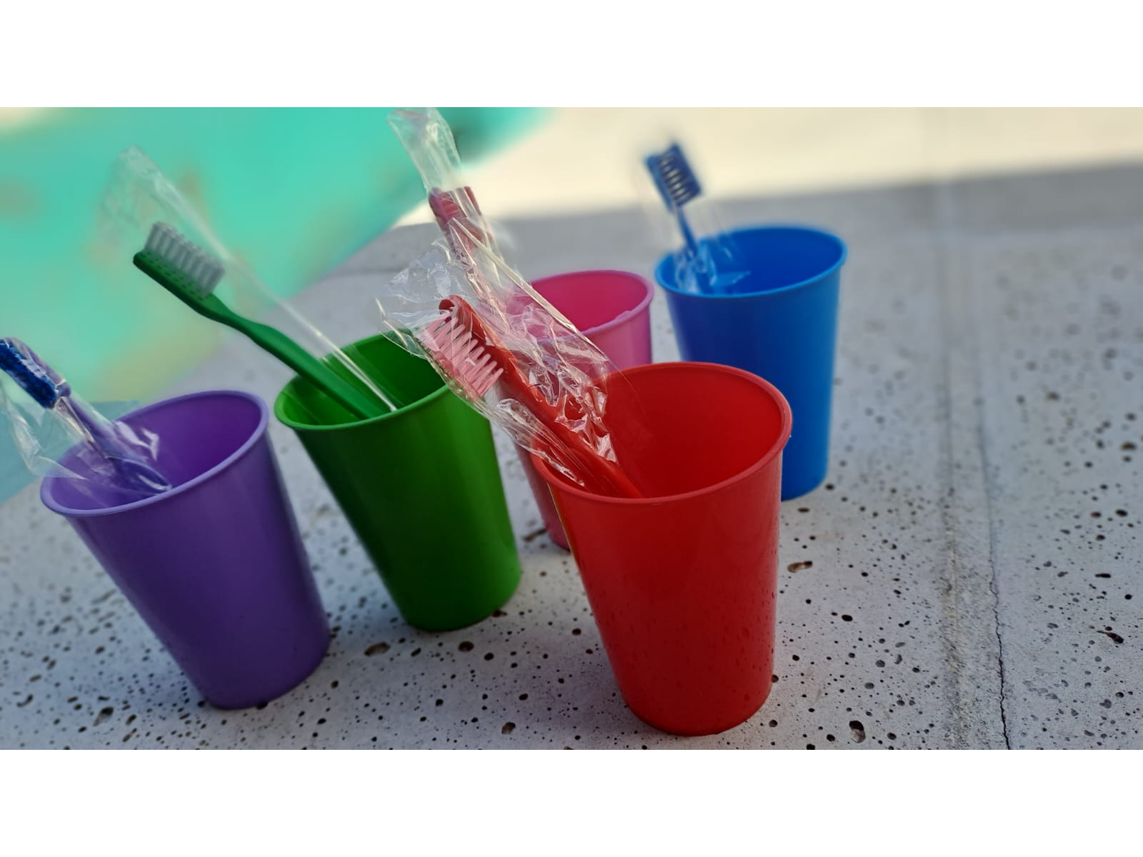 VASO ECO  + CEPILLO DE DIENTES