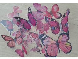 ADORNO MARIPOSA HOLOGRAFICA DIAMANTE VARIOS TAMAÑOS 16 UNIDADES