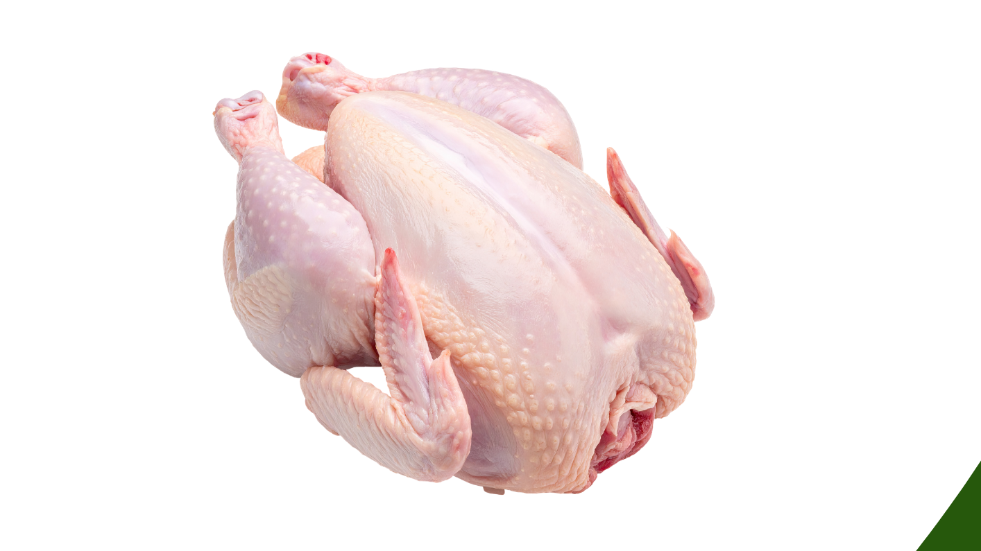 POLLO Y TROZADO
