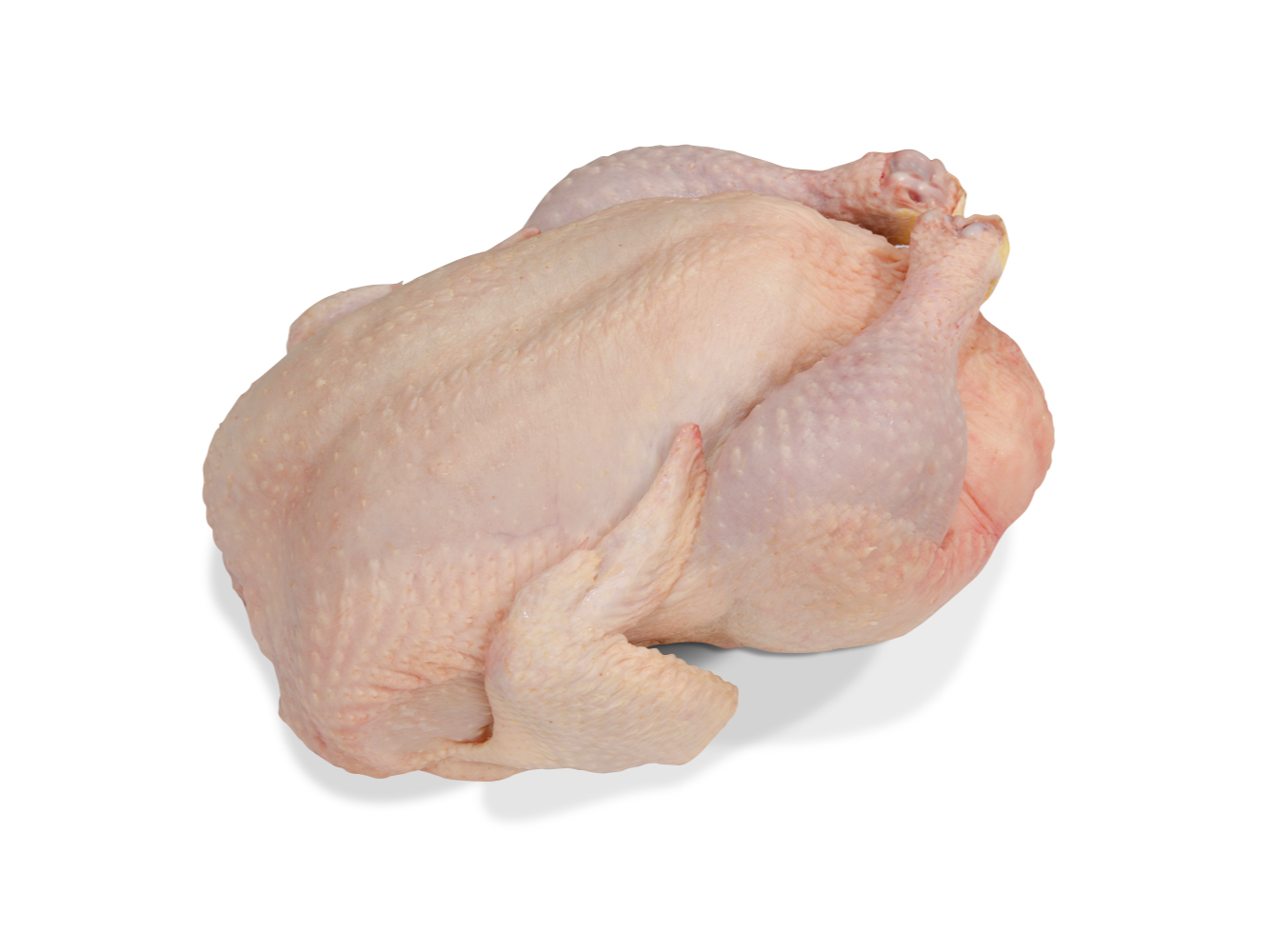 POLLO N 9