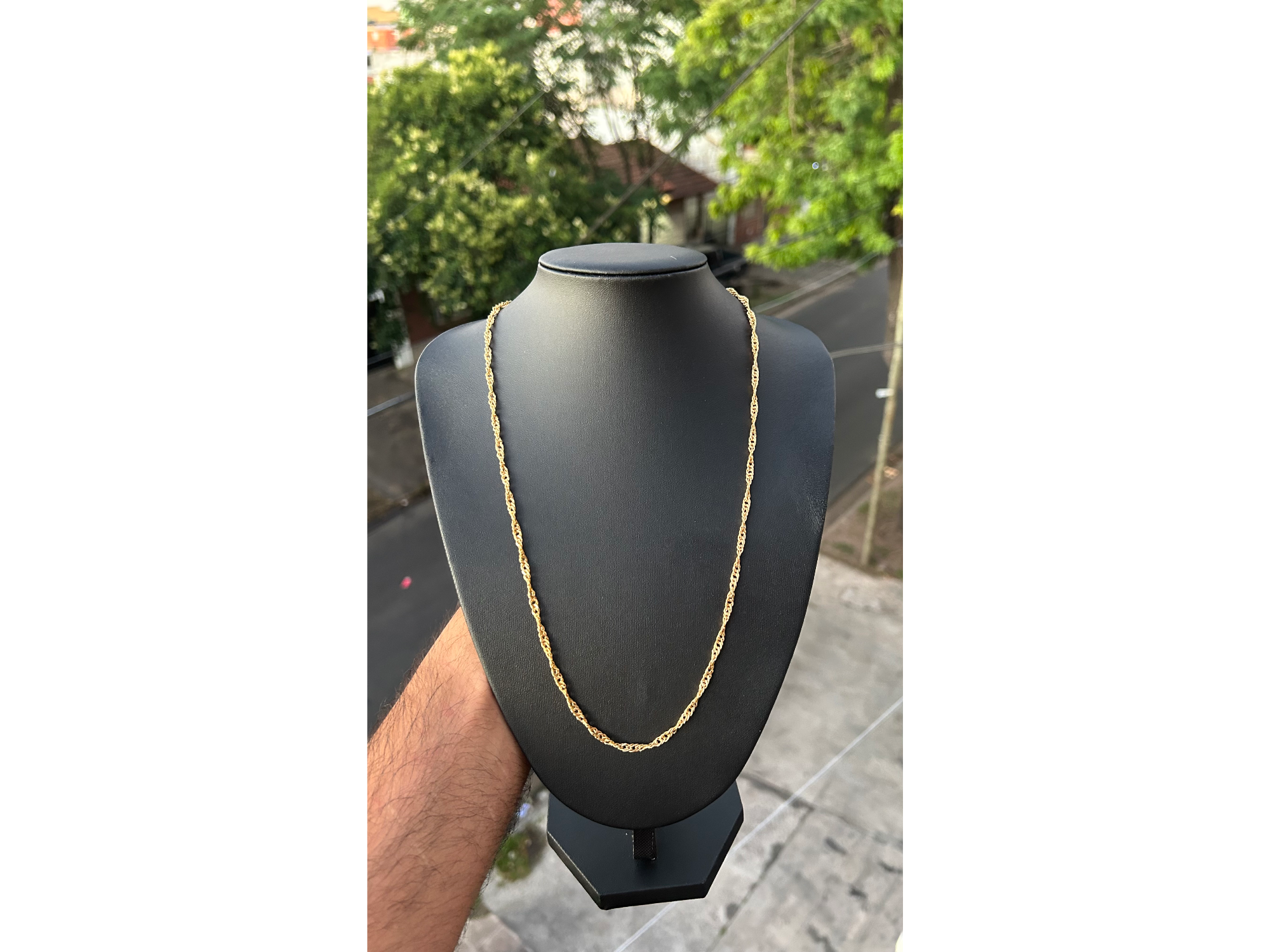 SINGAPOUR GRUESA 60 CM