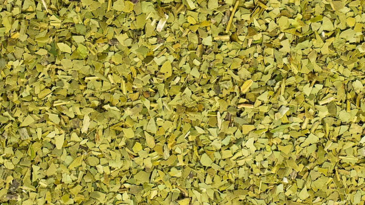 YERBA