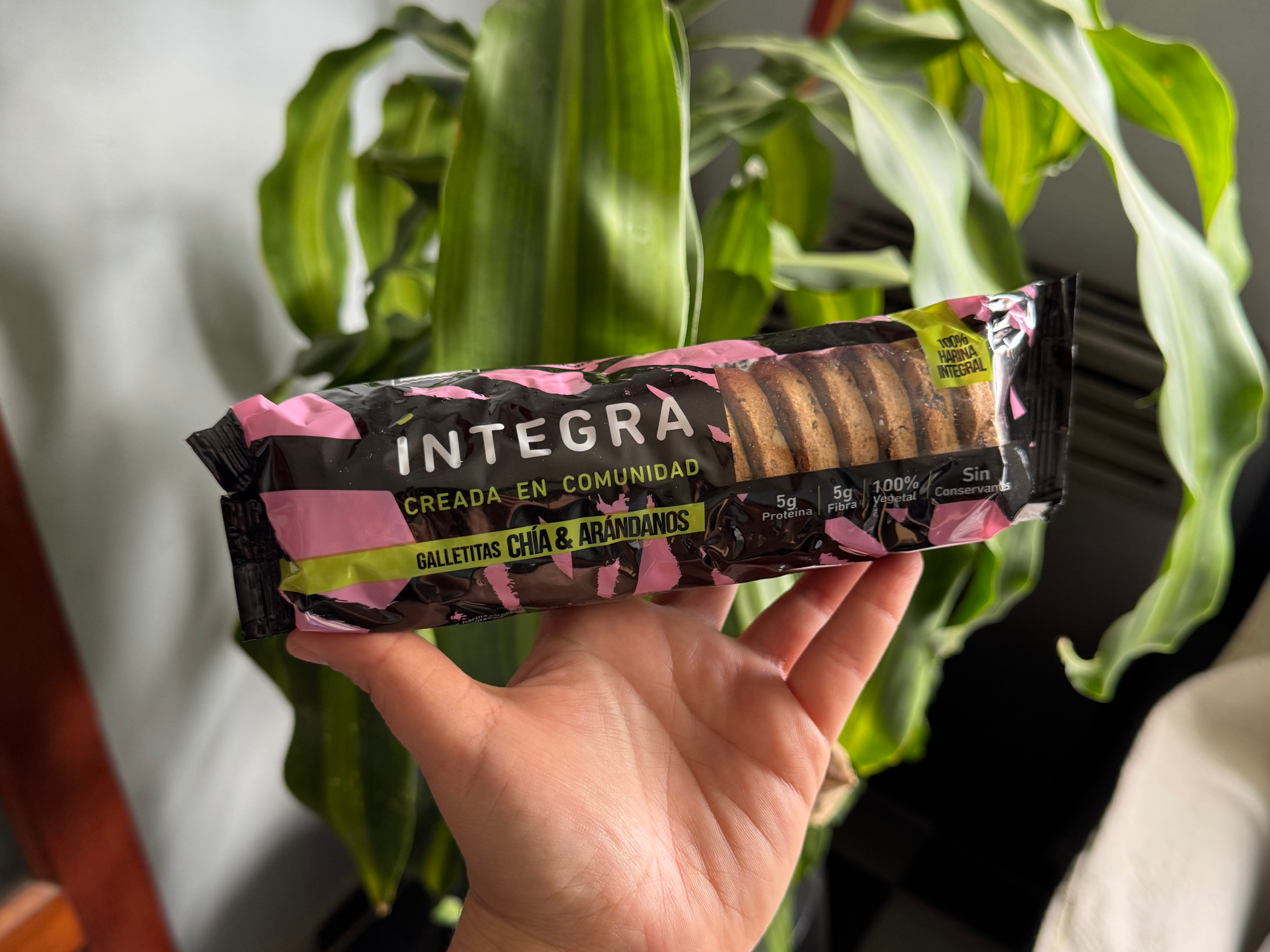 Galletas integra chía y arándanos 200g