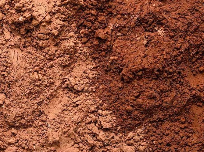 Cacao amargo