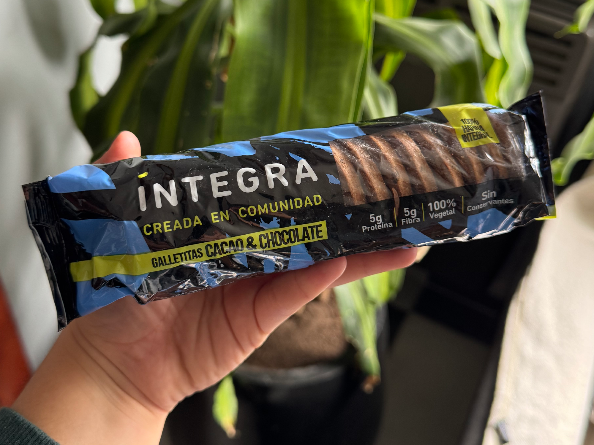 Galletas integra cacao y chocolate 200g