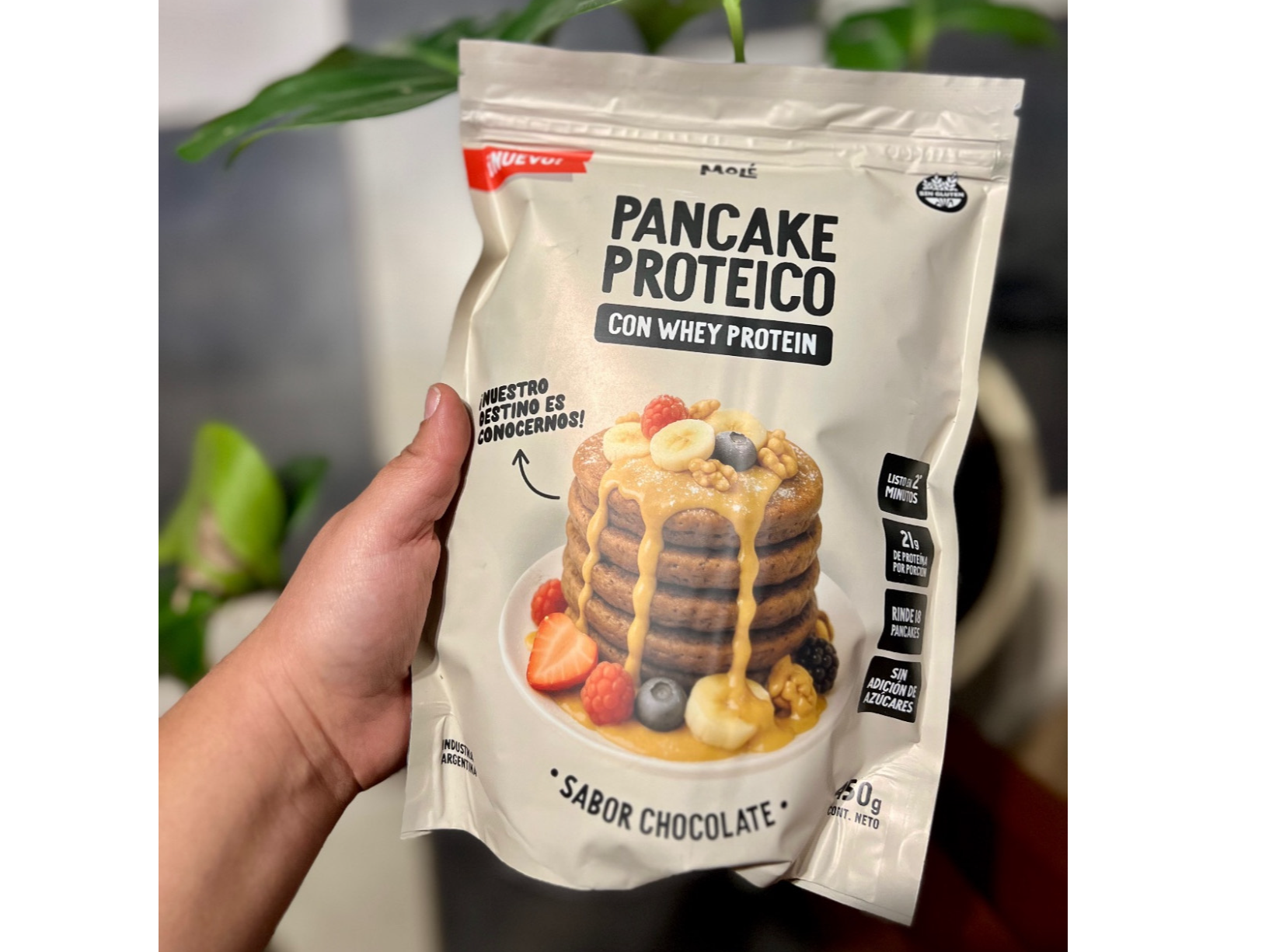 Premezcla pancake chocolate con whey protein 450g