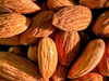 Almendras non pareil