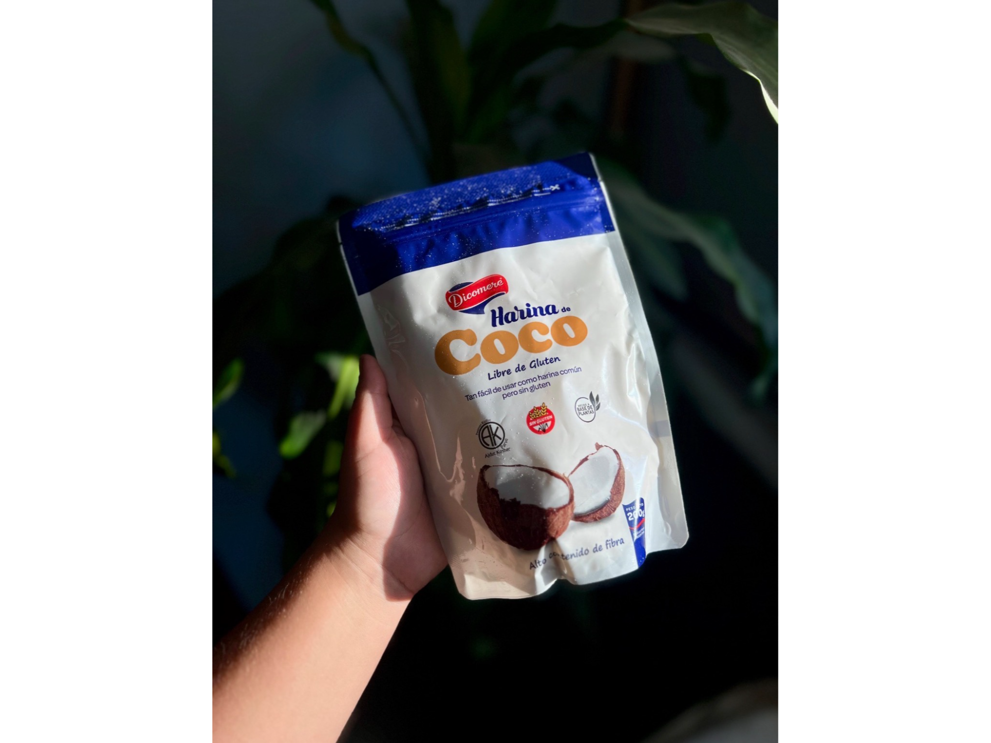 Harina de coco 200g