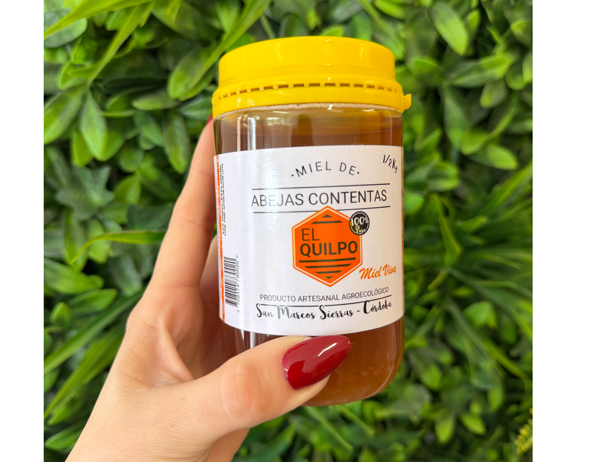 Miel el quilpo 500gr