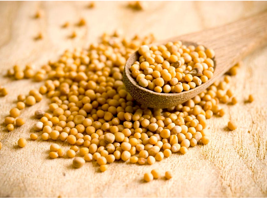 Mostaza en grano