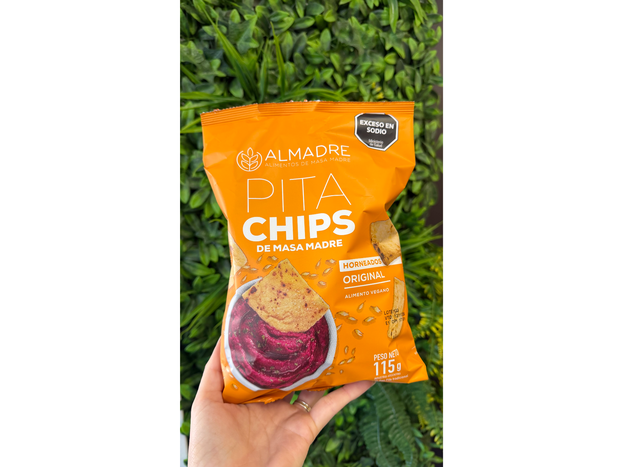 Chip alamadre original